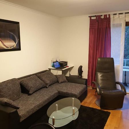 Breite Familien Apartment 바젤 외부 사진